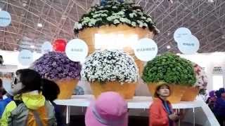 [150427] 고양 국제 꽃 박람회 (Goyang International Flower Exposition)