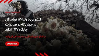 کشوری که رتبه ۱۷ تولید گل در جهان را دارد، اما به صادرات که می‌رسد، جایگاهش به ۱۱۷ سقوط می‌کن