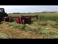 elsworth family farms — mower conditioning oaten hay 2