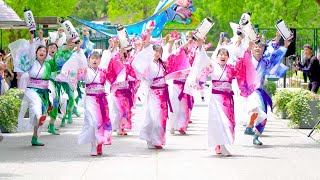 [4K] 夢源風人 1部　長居植物園 牧野博士のふるさと 高知県マルシェ  2023