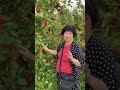 elizabeth siaw tik tok apple farms 澳 洲 视频 苹 果农 场