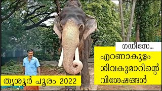 Ernakulam Shivakumar, Thrissur Pooram Vilambaram 2022, Thrissur Pooram 2022, എറണാകുളം ശിവകുമാര്‍