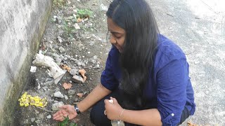 அகிலமே எனது இல்லம்🌱 DAY 38 | ATTENTION PLEASE | VLOG SATHIYA | SAVING MY EARTH FOR FUTURE