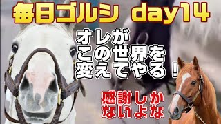 毎日ゴルシ『ゴルシ溢れる世界』day14