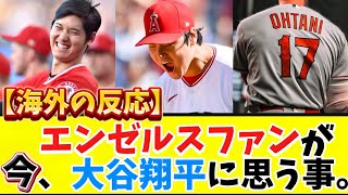 【海外の反応】エンゼルスファンが〝今〟大谷翔平に思うこと。