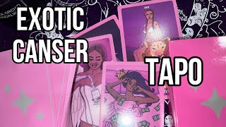 Таро Exotic Canser | Экзотического рака колода 18+