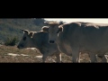 Volvo Trucks   The Flying Passenger Live Test