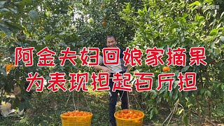 阿金为留好印象，在岳父面前争挑百斤担，累到脚酸只敢跟小翠说