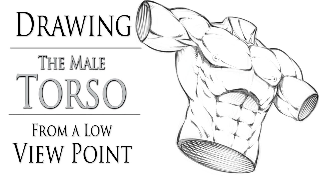 Drawing The Male Torso - From A Low Camera Angle - YouTube