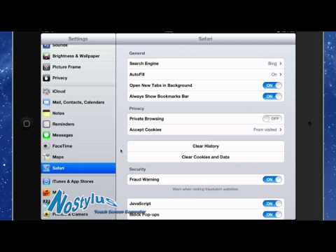 Safari Settings on iPad Safari Settings on iPad