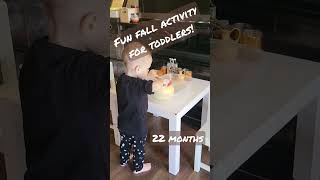 Montessori activity... pumpkin washing!! #montessoriathome #montessoritoddler #montessoriactivity
