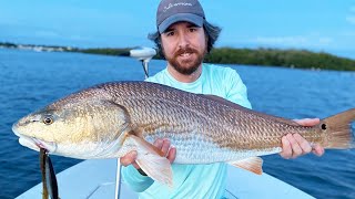 Here's How Fast You Should Retrieve Topwater Lures (For More Redfish, Snook, \u0026 Trout)