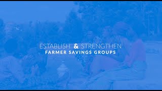 WFP Innovation: SheCan - Establish and strengthen farmer savings groups