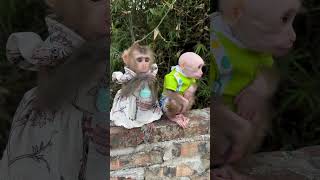 Two baby monkeys are waiting for their mother to pick them up to go to school.