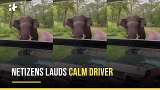 Viral: Angry Elephant Chases Safari Car At Kabini In Terrifying Video