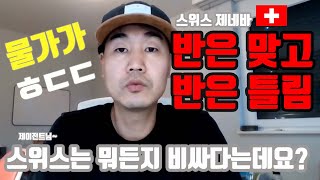 스위스 제네바 살기 - 스위스 물가 정말 모든게 다 비싼가요? 반은 맞고 반은 틀린 것 같아요. 제이전트