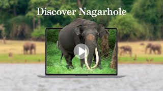 Discover Nagarhole with Bret Charman - 30 October 2024