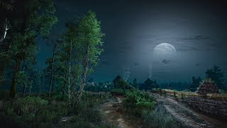 Moonlit Forest Ambience | ASMR Nature Sounds \u0026 Calm Nightscape