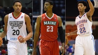 Mix of Top NBA Players on Assignment in the NBA D-League, 2015-16