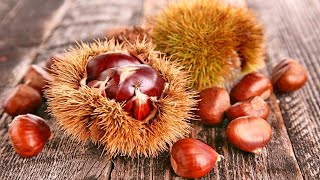 How To Peel Chestnuts The Easiest Way | Chef@Home Hacks