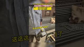 男子为防止猫咪拆家将家里装修，短短30秒吓了开锁师傅四次，网友：把家里的东西都关上了也舍不得关猫咪 #猫咪的迷惑行为 #拆家猫 #正能量