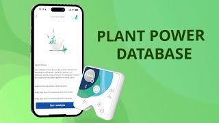 🌿 Verbinde dich mit der Natur | Datenbank Pflanzenkraft für das HealAdvisor Analyse Resonance Modul