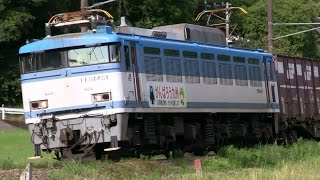 JR貨物 EF81-451(1062レ)\u0026ED76-1015(2074レ) 鹿児島本線上伊集院駅～広木駅