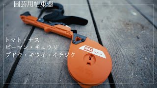 農家がみんな使ってる結束器【果樹・果菜類の誘引に】MAX テープナー HT-R