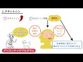 人に感謝　謝罪が出来ない原因と具体的な対処方法　マルトリートメント　発達障害【人間関係】