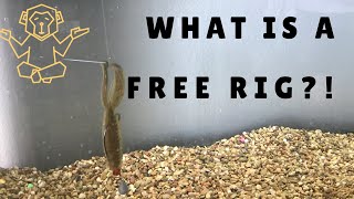 The Free Rig (underwater test and review)