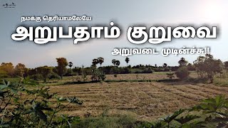 அறுபதாம் குறுவை 🌾 அறுவடை முடிந்தது |பாரம்பரிய நெல் இரகம்| mrd agrian