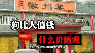 一句“狗比人值钱”，网民群情激奋，把徽州宴推上风口浪尖