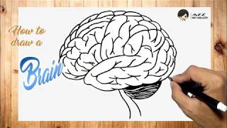 How to draw a Brain