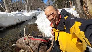 シーズン最後の三段鹿