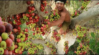 Rich Figs Fruits