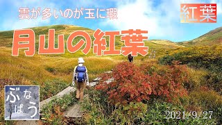 月山の紅葉と黄葉　月山は雪も花も紅葉も素晴らしい！