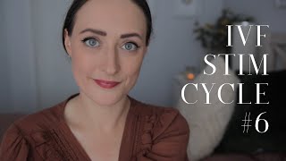 IVF STIM CYCLE #6 | Protocol + First FOLLICLE SCANS // Infertility Journey