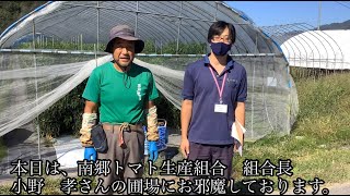 農家の日常をお伝えします！〜南郷トマト農家編〜