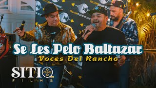 Voces Del Rancho - Se Les Pelo Baltazar (En Vivo)