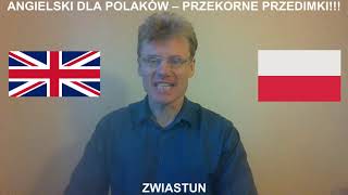 Brytyjski językoznawca przedstawia serię: Angielski dla Polaków - Przekorne PRZEDimki (zwiastun)