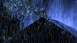 Fall into Sleep in 5 Minutes with Heavy Rain & Thunder Intense Sounds on Tin Roof in Forest at Night
