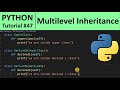 Python Tutorial #47 - Multilevel Inheritance in Python Programming for Beginners