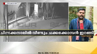 ചിന്നക്കനാലിൽ ജനവാസ മേഖലയിൽ വീണ്ടും ചക്കക്കൊമ്പൻ |  Idukki | Chakkakomban