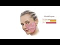 Facelift 101 The Differences Between Different Types of Facelifts  Aesthetic Minutes #Facelift