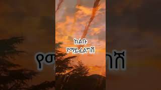 #Shorts እነዚህን ወንዶች ራቂ #protestantmezmur #orthodoxtewahdo #ethiomuslim #daggyshow #oromo #ethioelsy