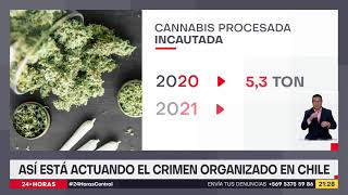 Crimen organizado: Esta es la forma en que actúa el narcotráfico en Chile | 24 Horas TVN Chile