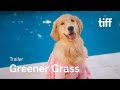 GREENER GRASS Trailer