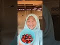 sawit rebus #minivlog #adayinmylife #masak #bolang #berkebun