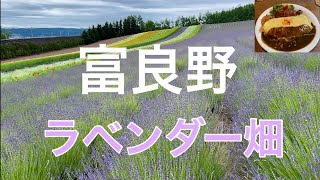 富良野のラベンダーを見て、ドラマ【北の国から】、映画【鉄道員ぽっぽや】のロケ地を巡る。北海道の旅⑨