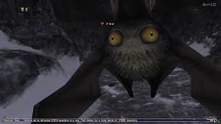 Final Fantasy XI Guide: Unlocking Beastmaster